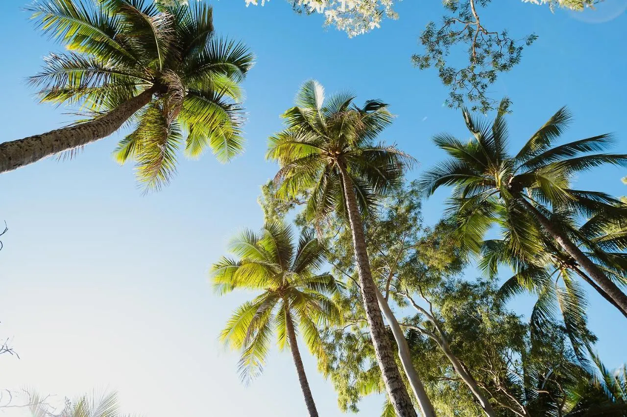 Villa Beach Palm Cove Clifton Beach Aparthotel